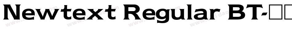 Newtext Regular BT字体转换